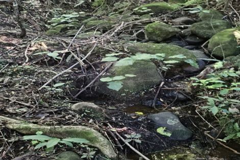 Photo of property in 326 Sainsbury Road, Pirongia, 3876