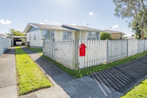 Photo of property in 64 Hinemoa Street, Levin, 5510