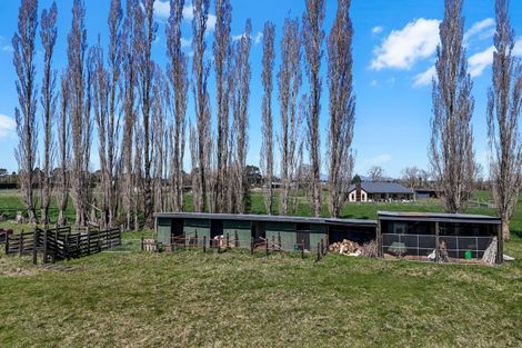 Photo of property in 275 Plaskett Road, Fernside, Rangiora, 7471