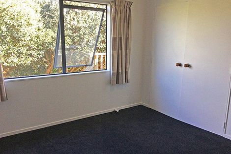 Photo of property in 255 Rodney Street, Wellsford, 0900