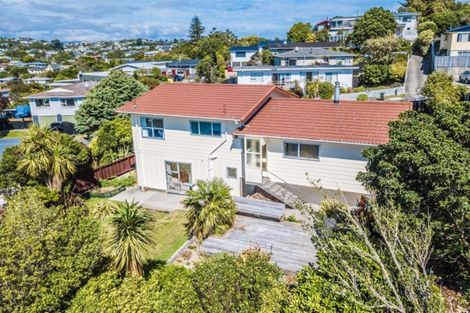 Photo of property in 43 Carluke Street, Paparangi, Wellington, 6037