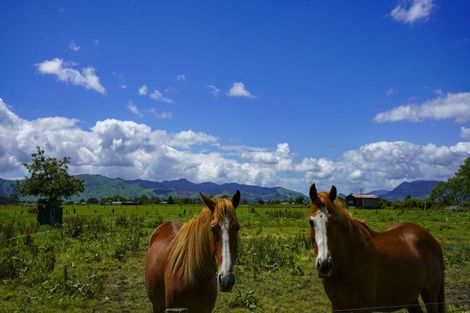 Photo of property in 368 Pukahu Road, Netherton, Paeroa, 3672