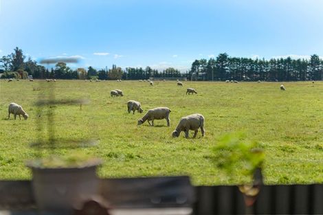 Photo of property in 8 Lordship Place, Templeton, Christchurch, 8042