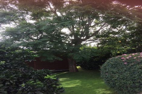 Photo of property in 8 Victoria Street, Tahawai, Katikati, 3170