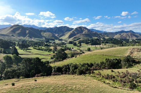 Photo of property in 84 Falloon Settlement Road, Kaituna, Masterton, 5888