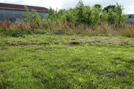 Photo of property in 12 Ohau Street, Dobson, Greymouth, 7805