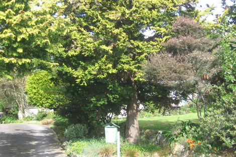 Photo of property in 46 Jervis Street, Hillcrest, Rotorua, 3015