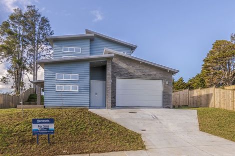 Photo of property in 21 Annmarie Avenue, Totara Park, Auckland, 2019