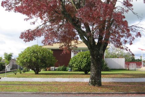 Photo of property in 19 Arthur Street, Tokoroa, 3420