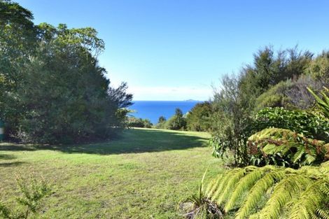 Photo of property in 180 Pumpkin Hill Road, Pumpkin Hill, Whitianga, 3591