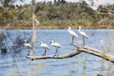 Photo of property in 18 Te Ara O Tahataharoa, Te Puna, Tauranga, 3176