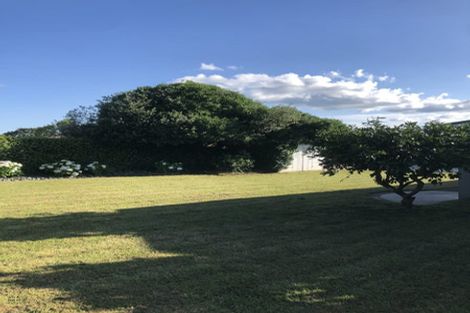 Photo of property in 19 Kingsley Street, St Andrews, Hamilton, 3200