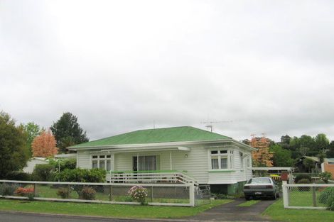 Photo of property in 45 Shaw Avenue, Paeroa, 3600