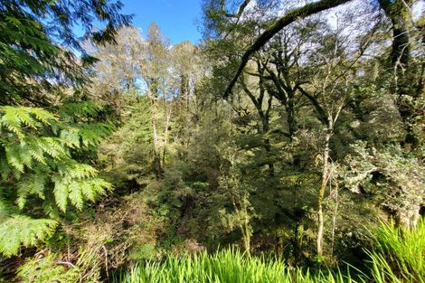 Photo of property in 774 Atarau Road, Atarau, Blackball, 7871