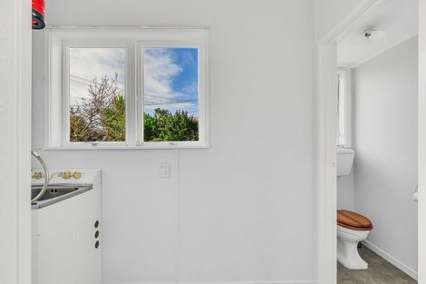 Photo of property in 48 Wainui Avenue, Point Chevalier, Auckland, 1022
