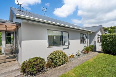Photo of property in 45 Solomon Street, Brookfield, Tauranga, 3110