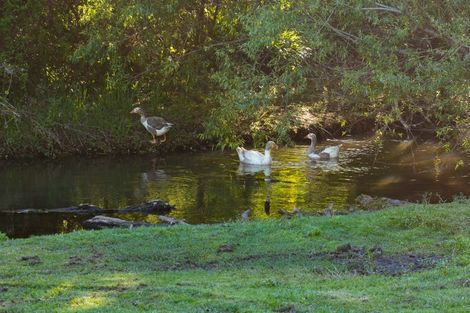 Photo of property in 5b Woodcock Road, Tamahere, Hamilton, 3283