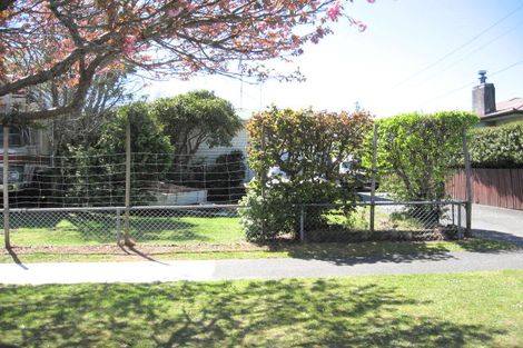 Photo of property in 38 Tongariro Road, Turangi, 3334