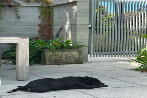 Photo of property in 218 Woodham Road, Linwood, Christchurch, 8062