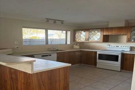 Photo of property in 17 Mcarthur Street, Terrace End, Palmerston North, 4410