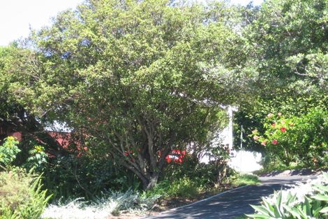 Photo of property in 81 Castor Bay Road, Castor Bay, Auckland, 0620