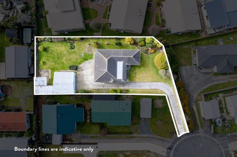 Photo of property in 7 Griffiths Place, Claudelands, Hamilton, 3214