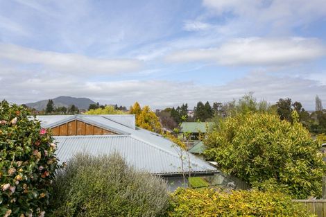 Photo of property in 33 Woodward Street, Nukuhau, Taupo, 3330