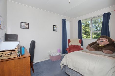 Photo of property in 118 Lethbridge Street, Feilding, 4702