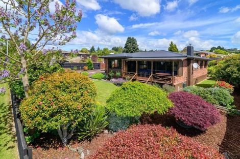 Photo of property in 1 Windsor Street, Springfield, Rotorua, 3015