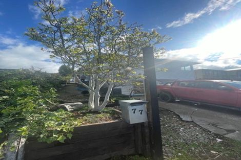 Photo of property in 77 Mould Street, Waitara, 4320