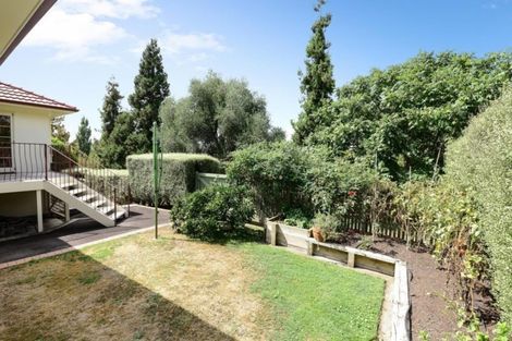 Photo of property in 19 Stella Place, Chartwell, Hamilton, 3210