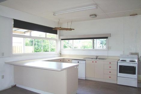 Photo of property in 19 Spenser Street, Milton, 9220