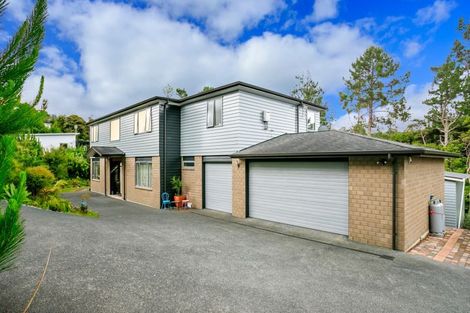 Photo of property in 16 Hobson Heights Road, Lucas Heights, Auckland, 0632