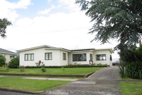 Photo of property in 29 Cooper Street, Pukekohe, 2120