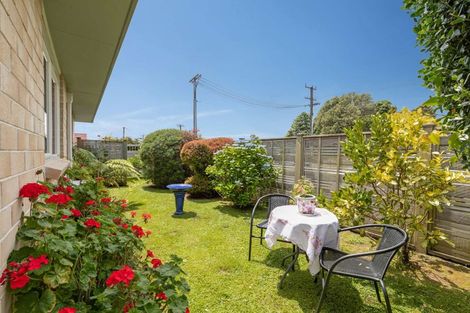 Photo of property in 61 Winchester Street, Levin, 5510