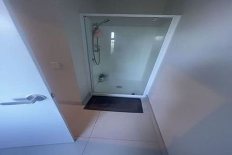 Photo of property in 21 Lemon Tree Lane, Flat Bush, Auckland, 2019