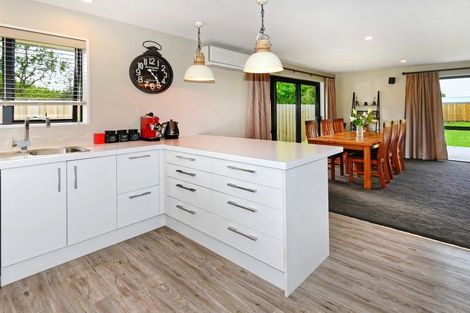 Photo of property in 5 Newbrook Terrace, Darfield, 7510