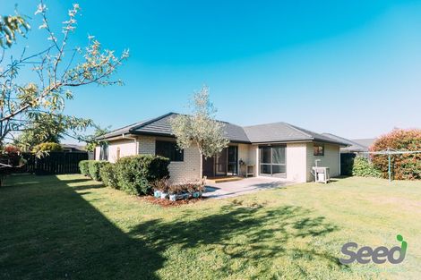 Photo of property in 41 Cumberland Drive, Flagstaff, Hamilton, 3210