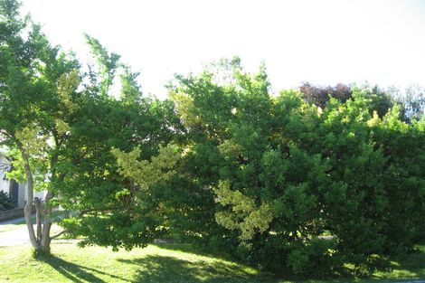 Photo of property in 20 Dominion Road, Te Hapara, Gisborne, 4010