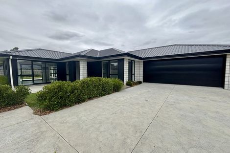 Photo of property in 21 Mcnabb Place, Witherlea, Blenheim, 7201