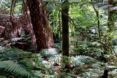 Photo of property in 132 Swetman Road, Waikino, Waihi, 3682