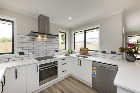Photo of property in 107a Queen Street West, Levin, 5510