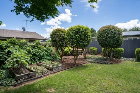 Photo of property in 77c Grey Street, Cambridge, 3434