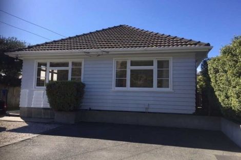 Photo of property in 3 Whitfield Street, Sumner, Christchurch, 8081