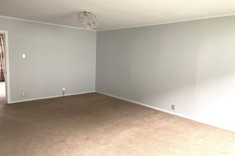 Photo of property in 60 Webster Avenue, Mount Roskill, Auckland, 1041