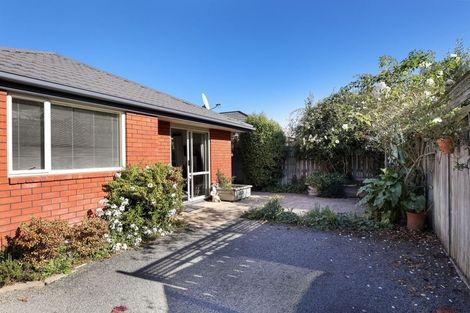 Photo of property in 19a Monro Street, Blenheim, 7201