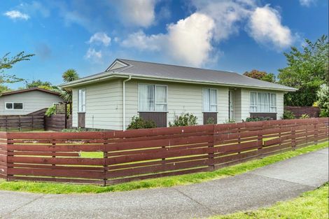 Photo of property in 30 Collingwood Street, Levin, 5510