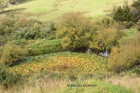 Photo of property in 153 Pahi Road, Pahi, Paparoa, 0571