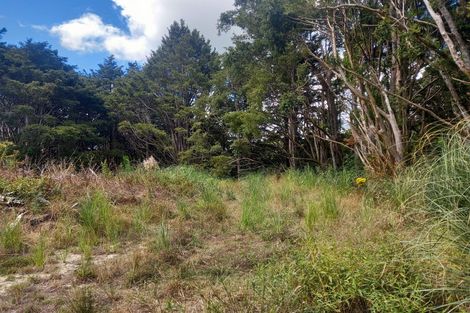 Photo of property in 24 Kamea Place, Maungaturoto, 0587