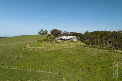 Photo of property in 457 Kiwitahi Road, Helensville, 0875